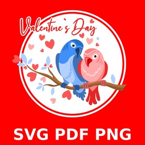 Valentijnsdag, Valentijnsdag t-shirts, t-shirt design, Valentijnsdag vogel, Valentijnsdag png, svg, hou van svg, cadeau ontwerp, tas ontwerp, vogel liefde