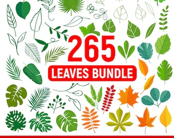 Pakiet 265 liści SVG: Clipart botaniczny (PNG, PDF, wektor)