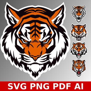 5 Tiger-Design für T-Shirt SVG-Clipart-Bundle, Tiger-Svg, Tigerschnitt, Tigercricut, Tigerdruck, Tigervektor, Tigerillustration,