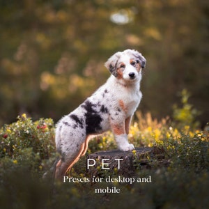 15 Pet Presets for lightroom - Mobile and desktop