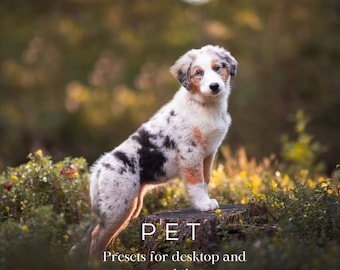 15 Pet Presets for lightroom - Mobile and desktop