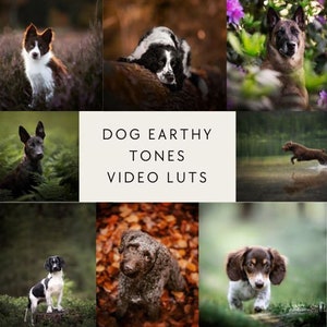 20 DOG earthy video luts for Final Cut Pro luts, Film luts, Luts for Video, Cube luts, Adobe Premiere Pro, Video Presets, Video Editing