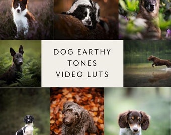 20 DOG earthy video luts for Final Cut Pro luts, Film luts, Luts for Video, Cube luts, Adobe Premiere Pro, Video Presets, Video Editing