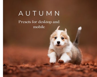 12 Fall presets for lightroom for desktop and mobile