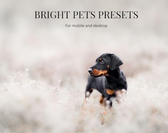 15 Bright Pets Lightroom-Voreinstellungen für Mobilgeräte und Desktop