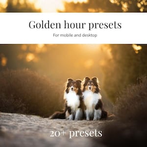 Op de afbeelding: Twee Shetland Sheepdogs met zwart, bruin en wit haar zitten naast elkaar in een zonnige buitenscène. De afbeelding bevat bovenaan de tekst "Golden hour presets" en "For mobile and desktop" en onderaan "20+ presets".
