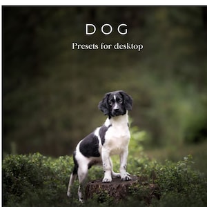 10 Dog presets Lightroom for desktop and mobile