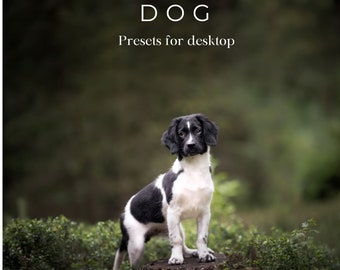 10 Dog presets Lightroom for desktop and mobile