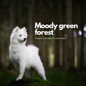 Könnte beinhalten: Ein weißer, flauschiger Hund steht in einem Wald mit grünem Hintergrund. Der Text "Moody green forest" ist in Weiß auf schwarzem Hintergrund über dem Hund geschrieben. Der Text "PRESETS FOR DESKTOP AND MOBILE" ist in Weiß auf schwarzem Hintergrund unter dem Hund geschrieben.