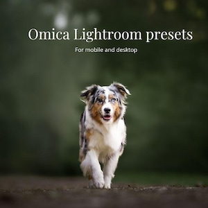 Omica's lightroom presets Desktop