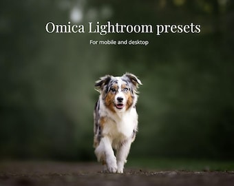 Omicas Lightroom-förinställningar för skrivbordet