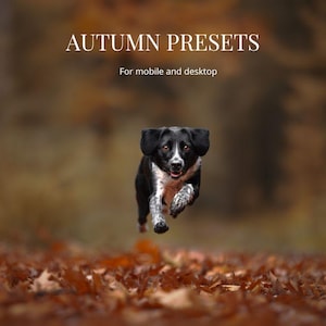 12 Fall presets for lightroom for desktop and mobile