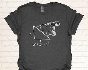 Funny Math Nerd T-Shirt Pythagorean Theorem Nerdy Humor Shirt for Teachers | Clever Witty Gift Idea for Math Students and Science Geeks