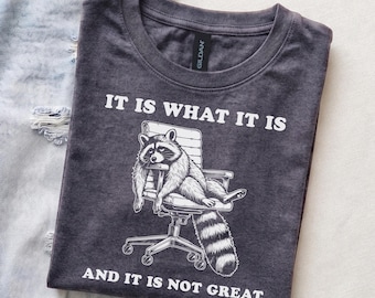 May include: A charcoal gray crew neck t-shirt featuring a white graphic of a raccoon sitting in an office chair. The text above the raccoon reads IT IS WHAT IT IS and the text below the raccoon reads AND IT IS NOT GREAT in white lettering.