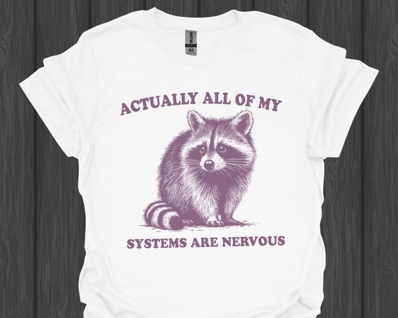 Niedliches Retro Waschbär T-Shirt | Actually All Of My Systems are Nervous Shirt | Lustiges Trash Panda Design | Weird Müllpanda Y2K Fashion
