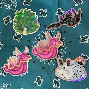 Meeresschnecke Sticker BUNDLE