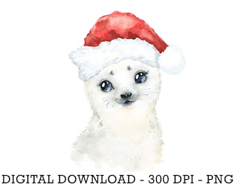 PNG Christmas Seal in Santa Hat, Baby Winter Animals, Kids Sublimation Design, Winter Christmas Sack Design