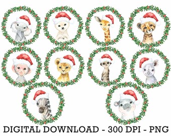 PNG Set of 10 Tropical Jungle Safari Animals, Kids Sublimation, Baby Shower Invite Clipart, Jungle Birthday Decor, Baby Animals Cake Topper