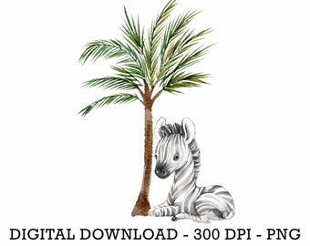 PNG Tropical Jungle Safari Animals Zebra, Kids Sublimation, Baby Shower Invite Clipart, Jungle Birthday Decor, Baby Animals Cake Topper