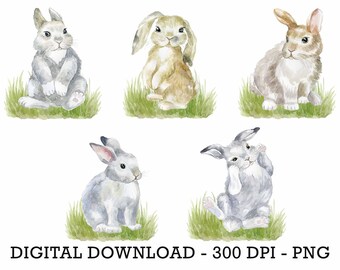PNG Set of 5 Bunny Peter Rabbit, Kids Sublimation, Baby Shower Invite Clipart, Jungle Birthday Decor, Baby Animals Cake Topper