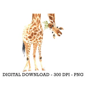 PNG Tropical Jungle Safari Animals, Kids Sublimation, Baby Shower Invite Clipart, Jungle Birthday Decor, Baby Animals Cake Topper