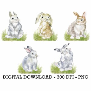 PNG Set of 5 Bunny Peter Rabbit, Kids Sublimation, Baby Shower Invite Clipart, Jungle Birthday Decor, Baby Animals Cake Topper