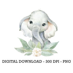 PNG Tropical Jungle Safari Animals, Kids Sublimation, Baby Shower Invite Clipart, Jungle Birthday Decor, Baby Animals Cake Topper