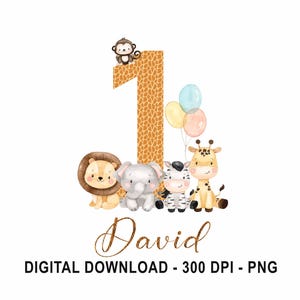 PNG Digital T-Shirt personalizzata Compleanno Design Sublimazione, 1° Compleanno, Primo Biglietto di Compleanno, Bambino Ragazzo Ragazza 1° Compleanno Maglietta