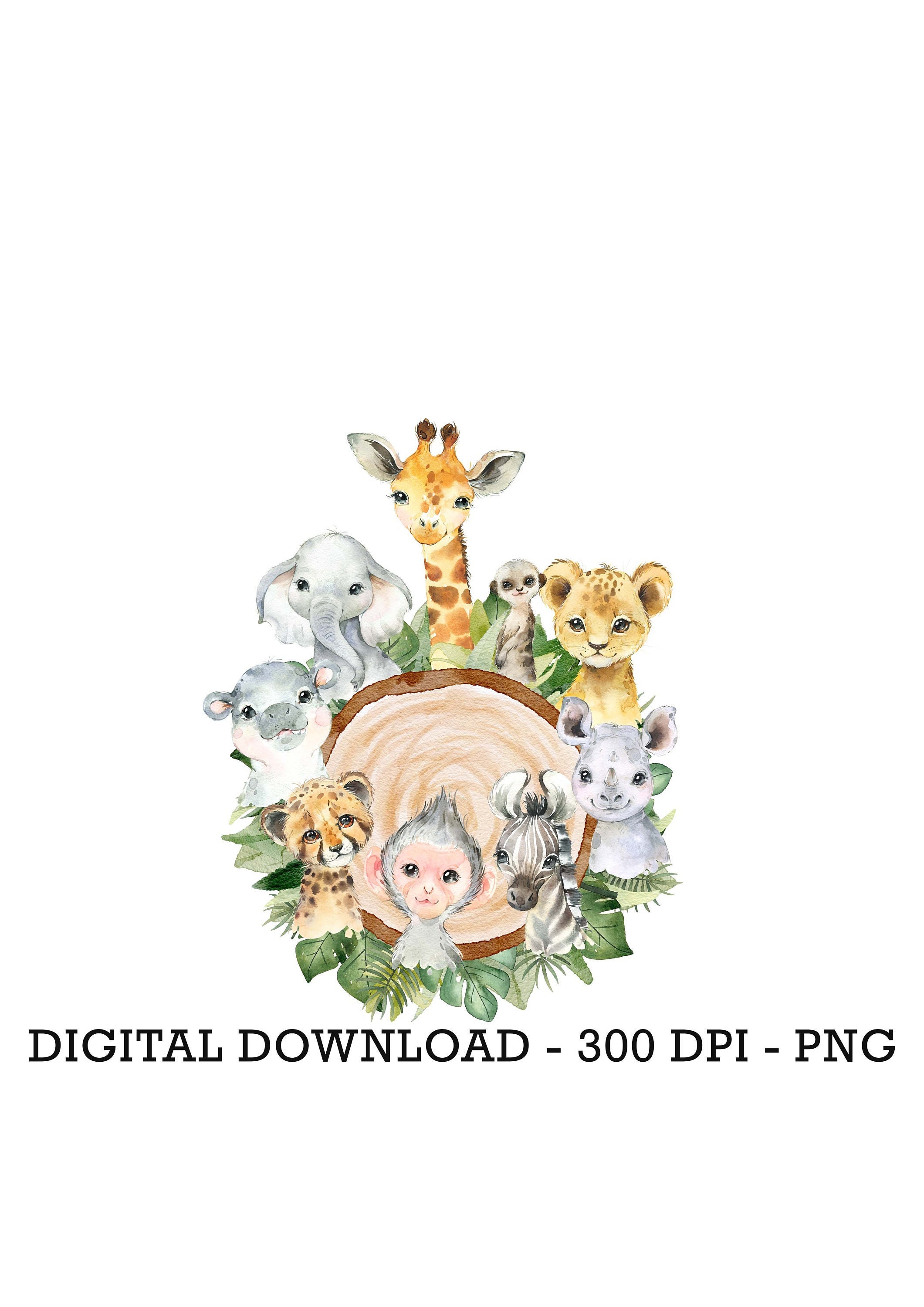 PNG Tropical Jungle Safari Animals Car, Kids Sublimation, Baby Shower ...