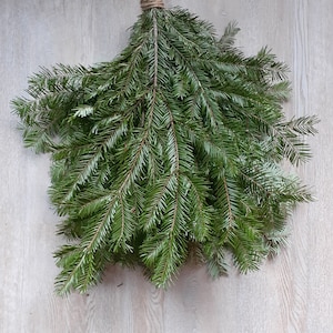 Fir Boughs