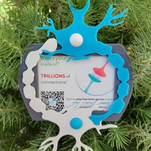May include: A white and blue 3D printed ornament shaped like a neuron with a gray background. The ornament has a QR code and text that reads "What's your brain made of? TRILLIONS of connections!" and "Scan to play free brain games and more."