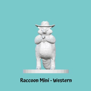 Raccoon Miniature - Western
