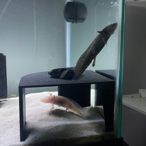 3D Printed Axolotl/Aquarium Hide