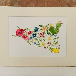 Sicilia a fiori Acquerello Briza Illustrazioni