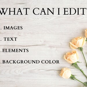 May include: A list of editable elements on a white wood background with four peach-colored roses. The text reads: "WHAT CAN I EDIT"  1. IMAGES 2. TEXT 3. ELEMENTS 4. BACKGROUND COLOR