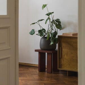 May include: A dark gray ceramic planter with a green leafy plant sits on a dark brown wooden stool. The plant is in a room with white walls and a wooden cabinet with a closed door.