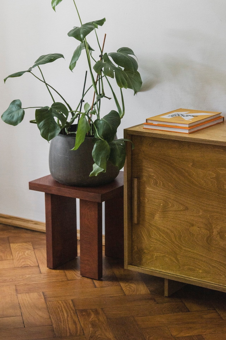 May include: A potted monstera plant sits on a wooden stand next to a wooden cabinet with two books stacked on top. The cabinet has a light wood finish and a single door. The floor is a dark wood herringbone pattern.