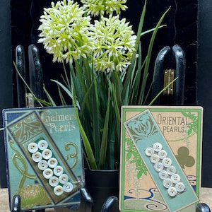 May include: Two rectangular cards featuring white buttons arranged in two columns. The left card is labeled Chalmers Pearls, and the right card is labeled Oriental Pearls. Both cards display green and blue graphic designs with floral motifs.