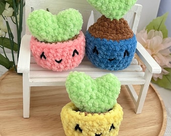 Crochet Plant Pop Fidget Toy | ADHD Plushie | Sensory Toys | Hoya Plush | Plant Mom Gift
