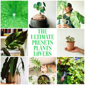 5 Lightroom Presets Plants Lovers Mobile and Desktop Instagram Photo Filter