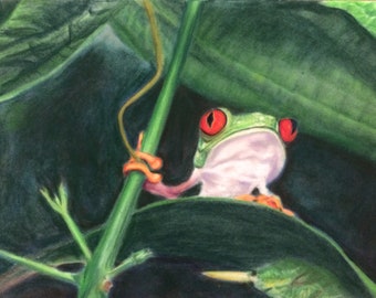 Frog, original picture, painting 24 cm x 32 cm, unique, pastel chalk on velor paper