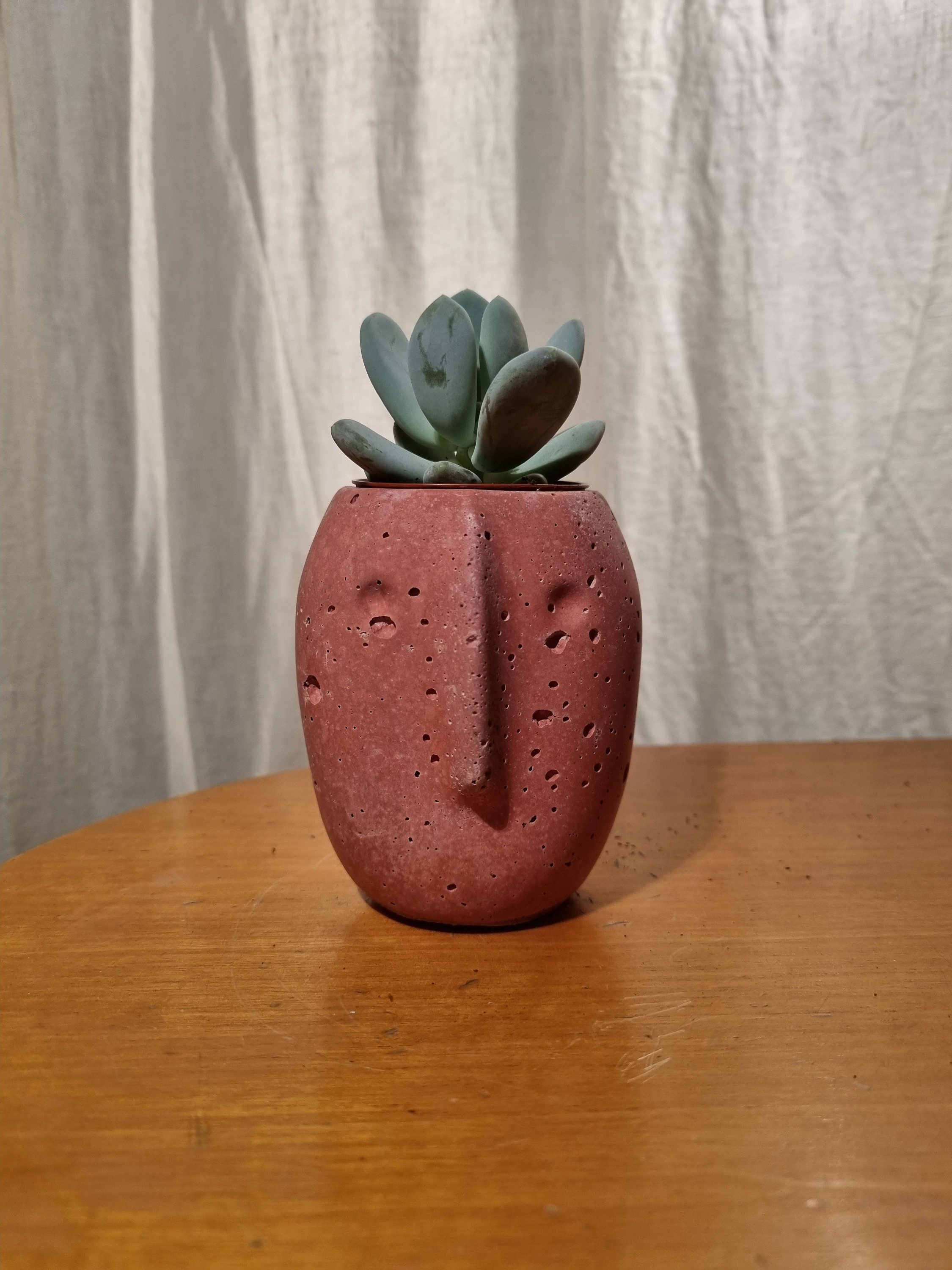 Pot Rouge en Forme de Visage Style Pierre Hypertufa - Idéal Pour Cactus et Succulente Cache Pot 6cm 
