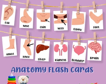 32 Printable Body Parts and Organs Flash Cards for Toddlers and Preschool Children Montessori Learning