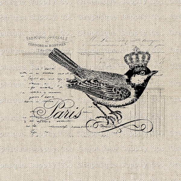 Bird Clipart French Country Vintage Illustration- Instant Download Digital Printable Clip Art Iron on Transfer Image PNG JPEG 300dpi