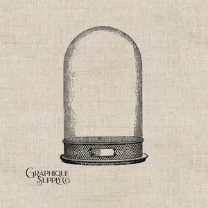 Vivarium Cloche Jar vintage illustratie digitale afdrukbare Victoriaanse Clip Art PNG opstrijkbare afbeelding-muur decor-light academia