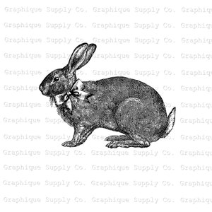 Kanin Clip Art Påskhare Vintage Ladda ner Digitalt - Utskrivbar PNG JPEG 300 dpi clipart bild 2