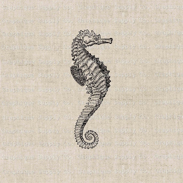 Digital Seahorse Antique Clipart-vintage illustration aesthetic, mermaidcore, crustaceancore, wall decore, furniture transfer