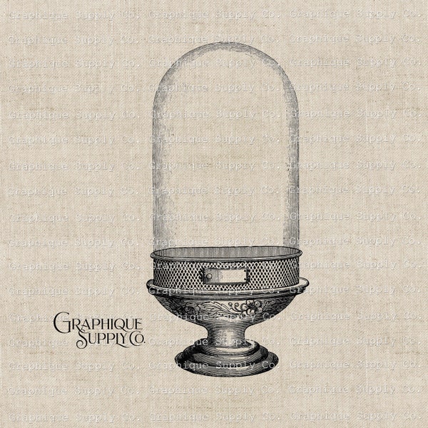 Cloche Jar vintage Illustration Vivarium Digital download Printable Victorian Clip Art Iron on graphic home decore light academia