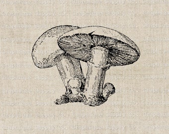 Mushroom clipart digital toadstool png-Botanical Ephemera wild life artwork-Goblincore fairy grunge JPEG PNG