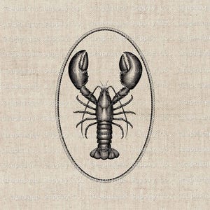 Puede incluir: Ilustración en blanco y negro de una langosta dentro de un marco ovalado de cuerda. La langosta está detallada con pinzas, patas y un cuerpo segmentado. El fondo es una tela beige texturizada.